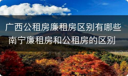 广西公租房廉租房区别有哪些 南宁廉租房和公租房的区别