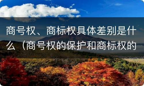 商号权、商标权具体差别是什么（商号权的保护和商标权的保护一样是全国性范围的）