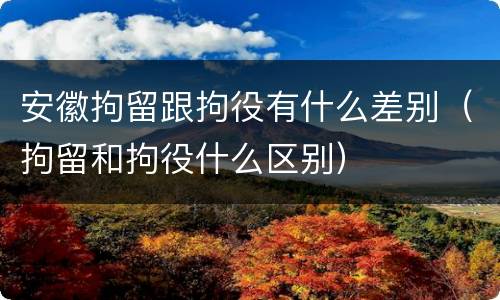安徽拘留跟拘役有什么差别（拘留和拘役什么区别）