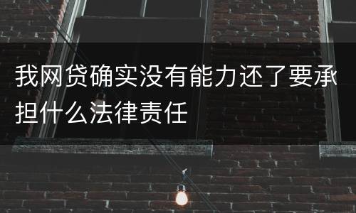 我网贷确实没有能力还了要承担什么法律责任