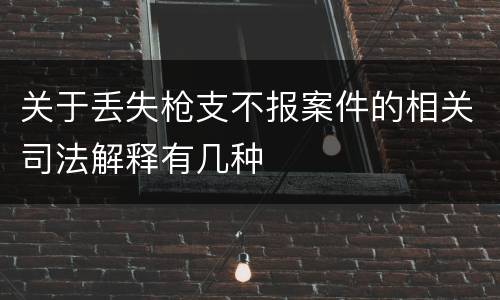 关于丢失枪支不报案件的相关司法解释有几种