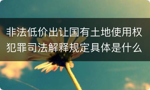 非法低价出让国有土地使用权犯罪司法解释规定具体是什么
