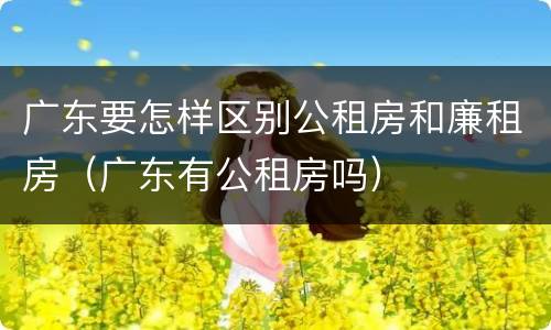 广东要怎样区别公租房和廉租房（广东有公租房吗）