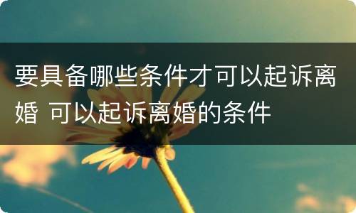 要具备哪些条件才可以起诉离婚 可以起诉离婚的条件
