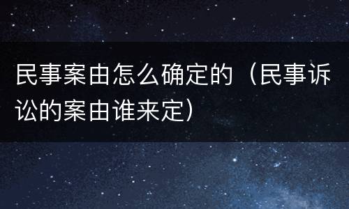 民事案由怎么确定的（民事诉讼的案由谁来定）