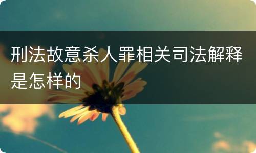 刑法故意杀人罪相关司法解释是怎样的