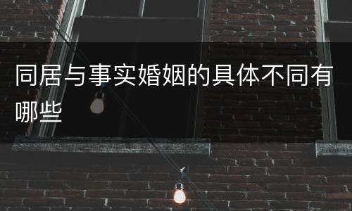 同居与事实婚姻的具体不同有哪些