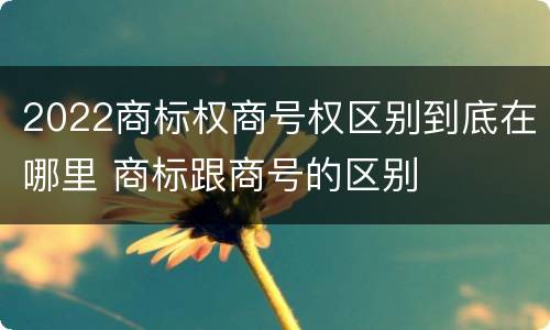 2022商标权商号权区别到底在哪里 商标跟商号的区别