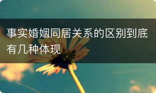 事实婚姻同居关系的区别到底有几种体现