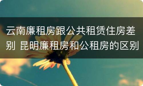 云南廉租房跟公共租赁住房差别 昆明廉租房和公租房的区别