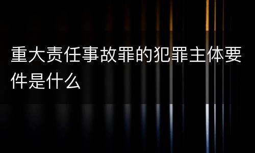重大责任事故罪的犯罪主体要件是什么