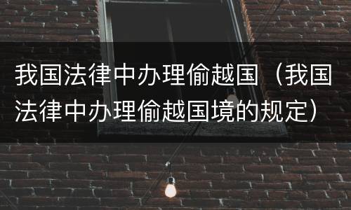 我国法律中办理偷越国（我国法律中办理偷越国境的规定）