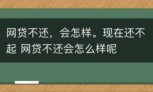 网贷不还，会怎样。现在还不起 网贷不还会怎么样呢