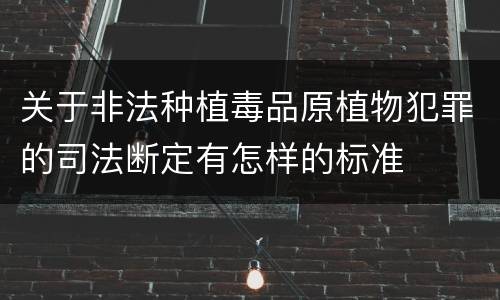 关于非法种植毒品原植物犯罪的司法断定有怎样的标准