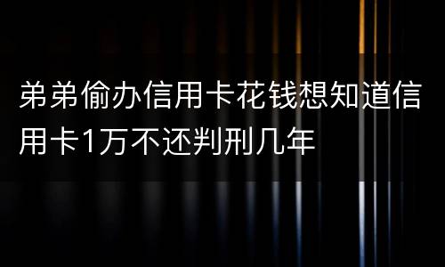 弟弟偷办信用卡花钱想知道信用卡1万不还判刑几年
