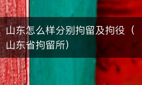 山东怎么样分别拘留及拘役（山东省拘留所）