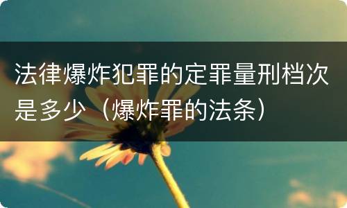 法律爆炸犯罪的定罪量刑档次是多少（爆炸罪的法条）