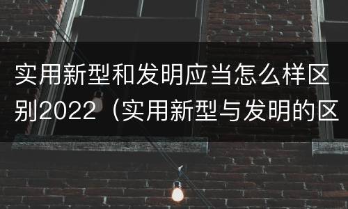 实用新型和发明应当怎么样区别2022（实用新型与发明的区别是什么）