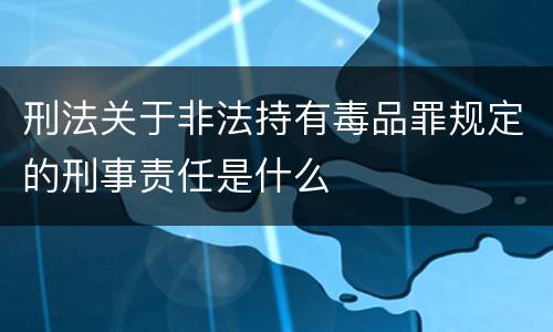 刑法关于非法持有毒品罪规定的刑事责任是什么