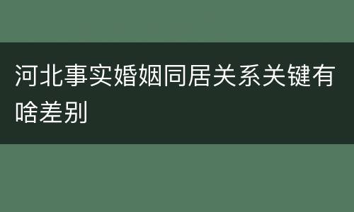 河北事实婚姻同居关系关键有啥差别