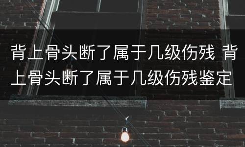 背上骨头断了属于几级伤残 背上骨头断了属于几级伤残鉴定