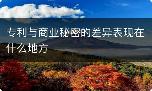 专利与商业秘密的差异表现在什么地方