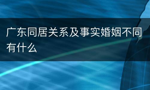 广东同居关系及事实婚姻不同有什么