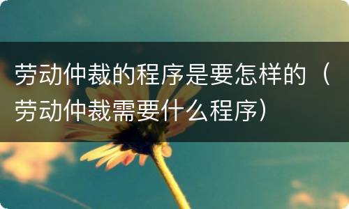 劳动仲裁的程序是要怎样的（劳动仲裁需要什么程序）