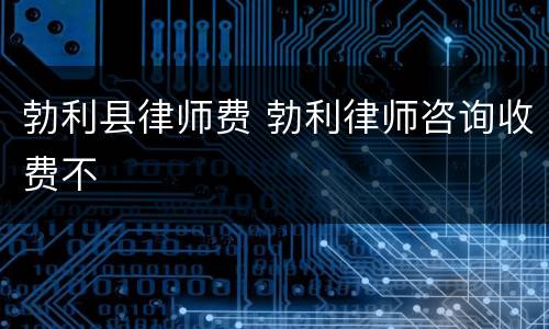 勃利县律师费 勃利律师咨询收费不