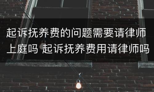 起诉抚养费的问题需要请律师上庭吗 起诉抚养费用请律师吗