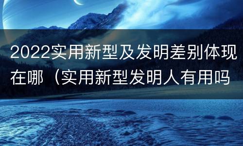 2022实用新型及发明差别体现在哪（实用新型发明人有用吗）
