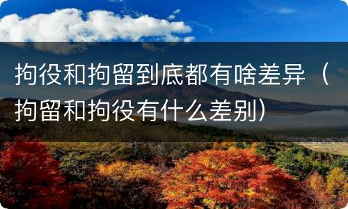 拘役和拘留到底都有啥差异（拘留和拘役有什么差别）