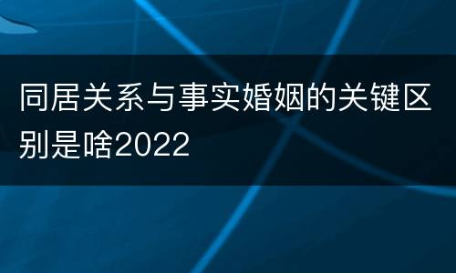 同居关系与事实婚姻的关键区别是啥2022