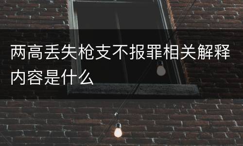 两高丢失枪支不报罪相关解释内容是什么