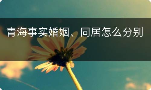 青海事实婚姻、同居怎么分别
