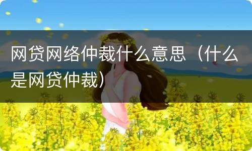 网贷网络仲裁什么意思(什么是网贷仲裁)