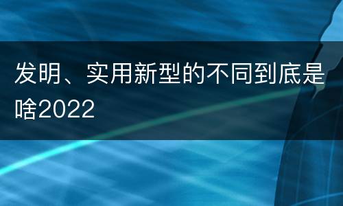 发明、实用新型的不同到底是啥2022