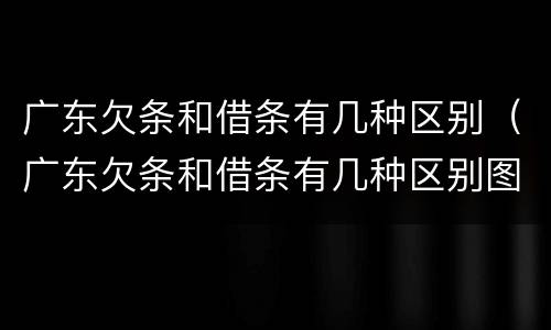 广东欠条和借条有几种区别（广东欠条和借条有几种区别图片）