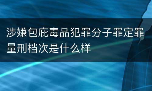 涉嫌包庇毒品犯罪分子罪定罪量刑档次是什么样
