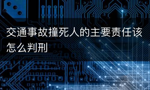 交通事故撞死人的主要责任该怎么判刑