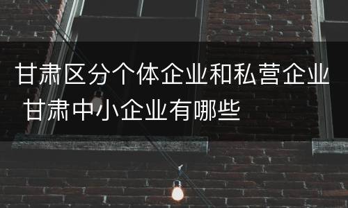 甘肃区分个体企业和私营企业 甘肃中小企业有哪些