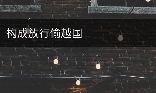 构成放行偷越国