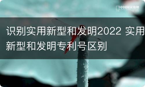 识别实用新型和发明2022 实用新型和发明专利号区别