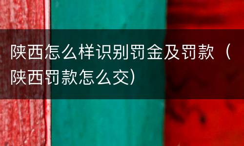 陕西怎么样识别罚金及罚款（陕西罚款怎么交）