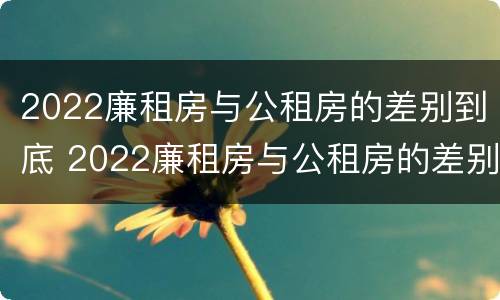2022廉租房与公租房的差别到底 2022廉租房与公租房的差别到底是什么