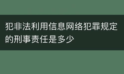 犯非法利用信息网络犯罪规定的刑事责任是多少