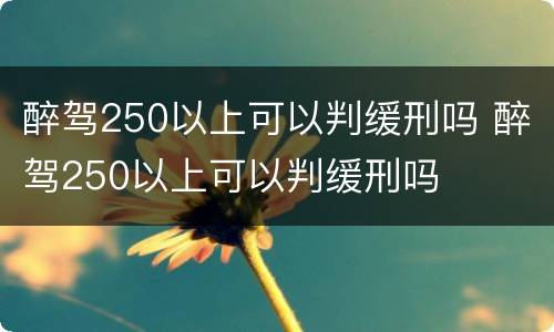 醉驾250以上可以判缓刑吗 醉驾250以上可以判缓刑吗