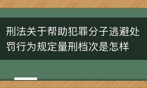 刑法关于帮助犯罪分子逃避处罚行为规定量刑档次是怎样