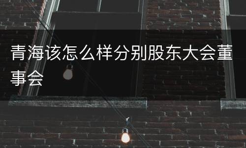 青海该怎么样分别股东大会董事会