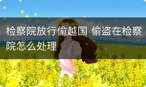 检察院放行偷越国 偷盗在检察院怎么处理